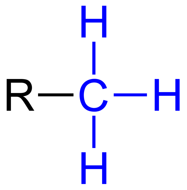 <ul><li><p>-CH<sub>3</sub></p></li><li><p>Nonpolar = Hydrophobic</p></li><li><p>Neutral</p></li><li><p>Used in: gene expression<br>Ex: 3-Methyl cytosine</p></li></ul><p></p>