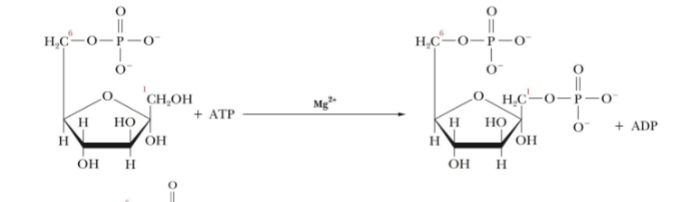 <p>What step is this and what are the products and reactants</p>