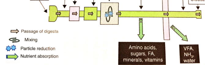 <p>Type?</p>