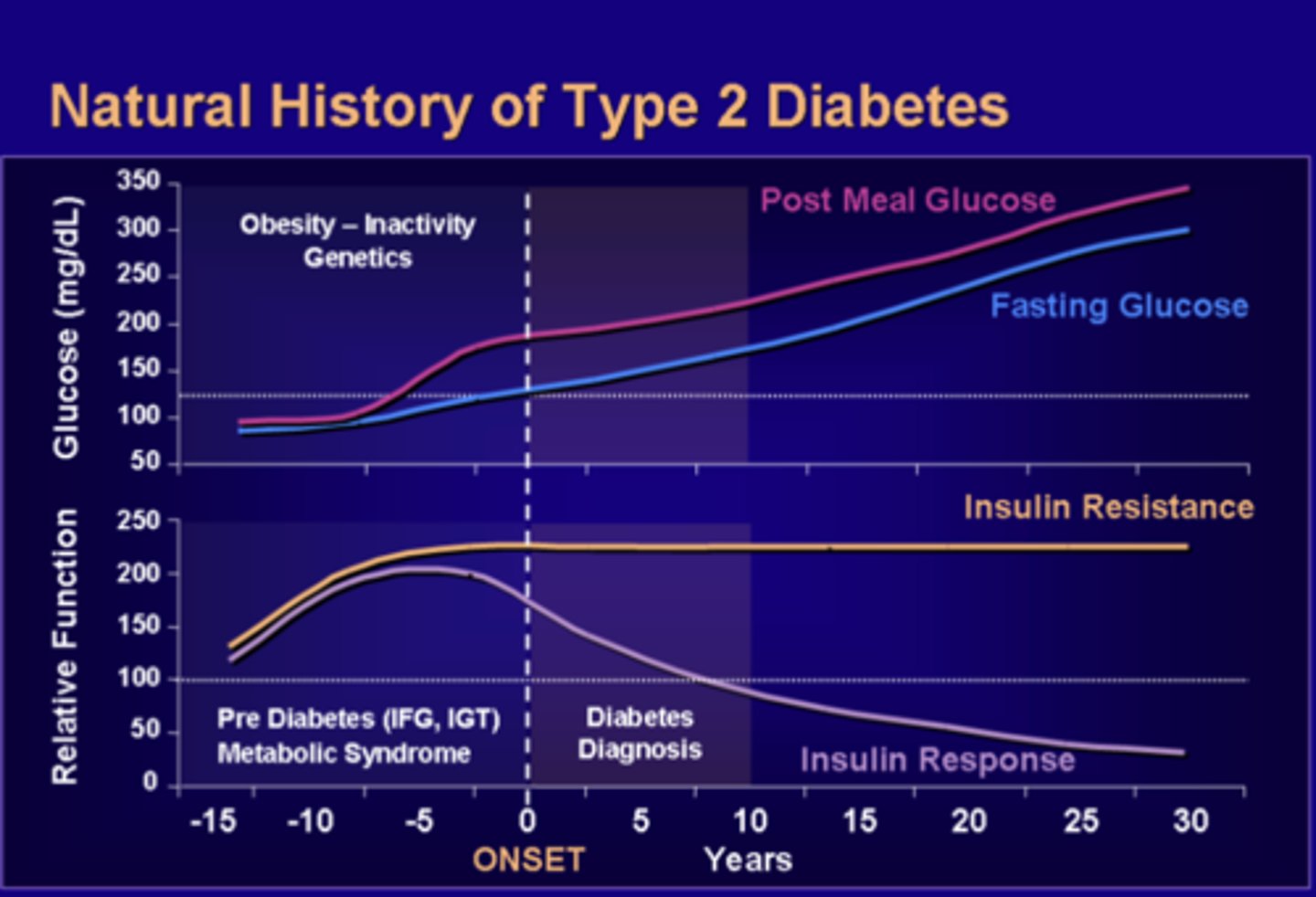 <p>1. The pancreas compensates by producing more and more insulin in order to bring glucose into the cells</p><p>- however, sugar continues to build up in the blood</p><p>2. T2DM takes a long time to develop</p><p>- most of the time patient is unaware due to it being asymptomatic</p><p>3. Increased in insulin resistance leads to compensatory increases in circulating insulin</p><p>- prevents glucose levels from being too high</p><p>4. As time goes on, insulin resistance reaches a peak and plateaus</p><p>- compensatory release of insulin continues to prevent fasting glucose levels from being too high</p><p>5. β-cells reaches capacity and as the fasting glucose level remain normal, post-meal glucose level rises</p><p>- Insulin cannot keep up with β-cell dysfunction and both fasting and post-meal glucose levels rose over time.</p>
