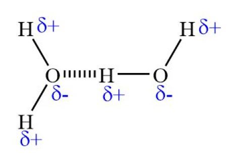 <p>Strong dipole-dipole force between the positive hydrogen atom of one molecule and highly electronegative atom of another molecule (O, N, F)</p>