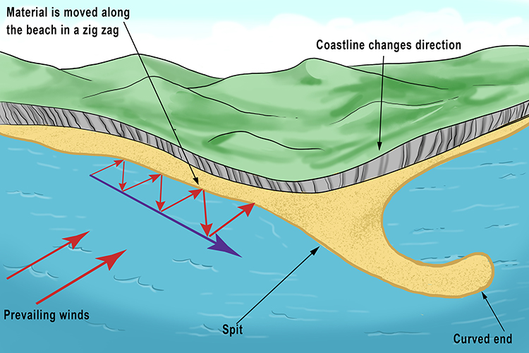 <p>by sediments transported in the longshore current</p><p>they end with a hook </p><p></p>