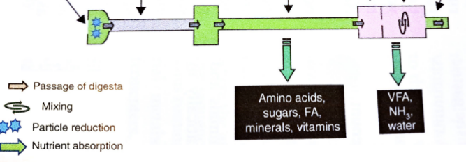 <p>Type?</p>