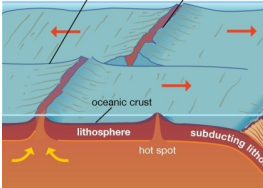 <p>at diverging plate boundaries</p>