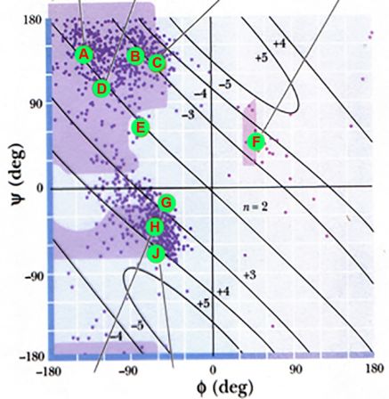 <p>What tertiary structure is at point G?</p>