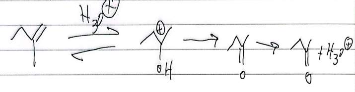 <p>acid-cat, carbocation formed, acid regens, carbonyl</p>
