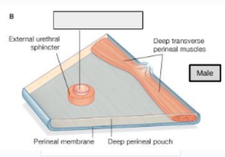 <p>what structure is that?</p>