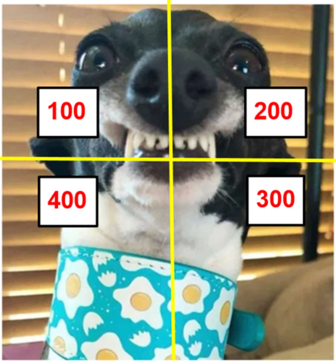<p>what tooth is shown?</p>