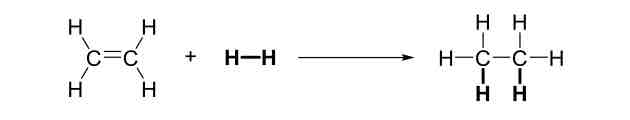 <p>Catalytic Hydrogenation</p>