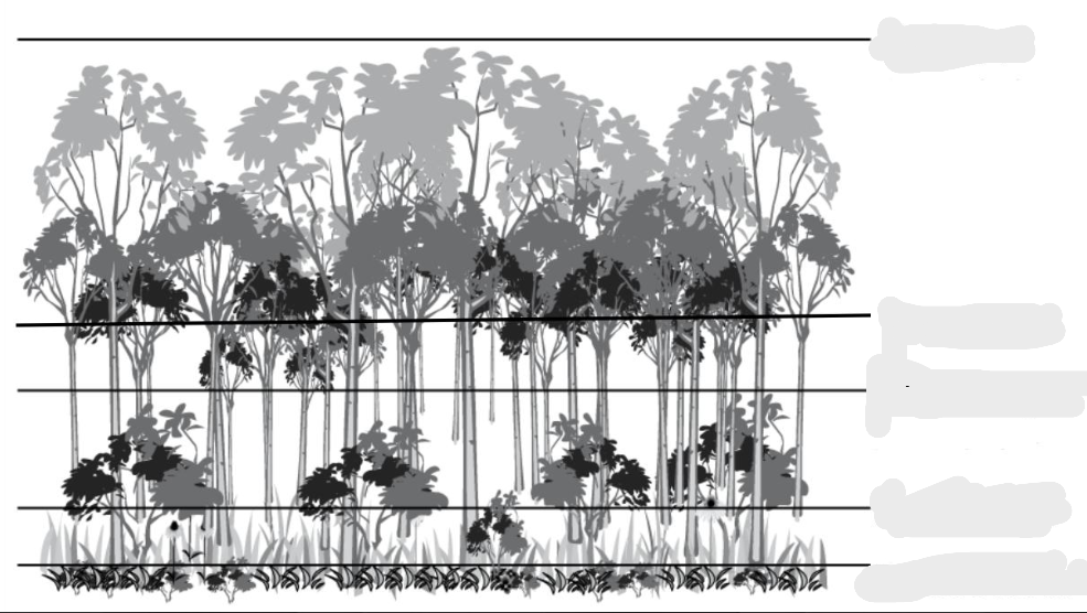 <p>Name the things from top down.</p>