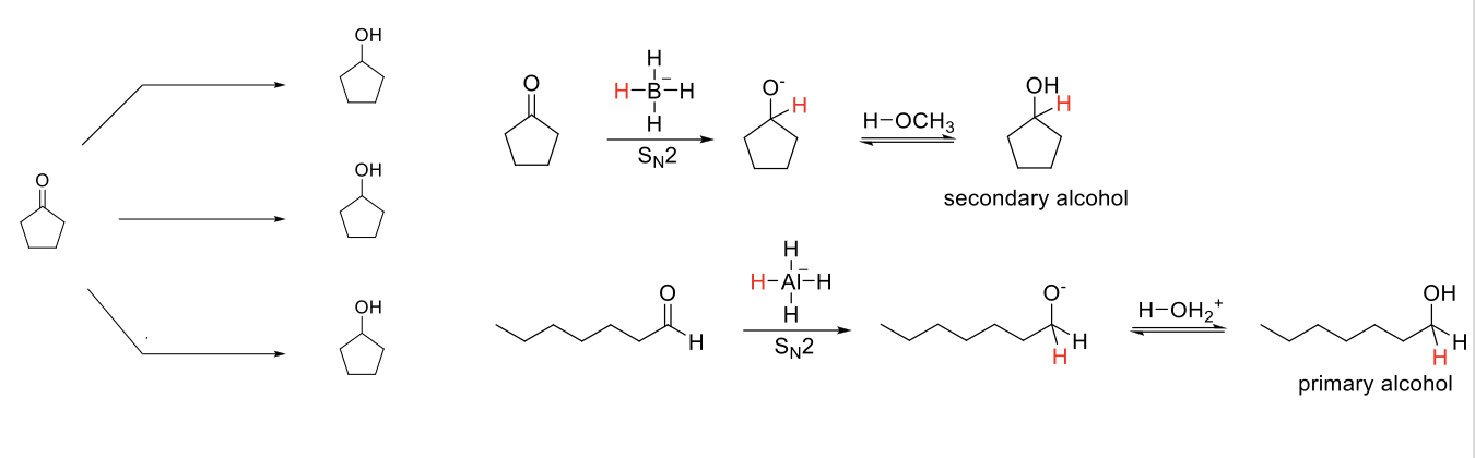 <p>Reduction of Aldehydes/Ketones</p>