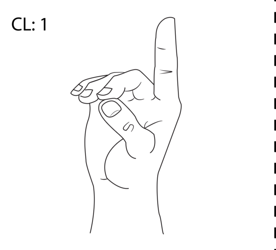 <p>What is a CL: 1 classifier?</p>