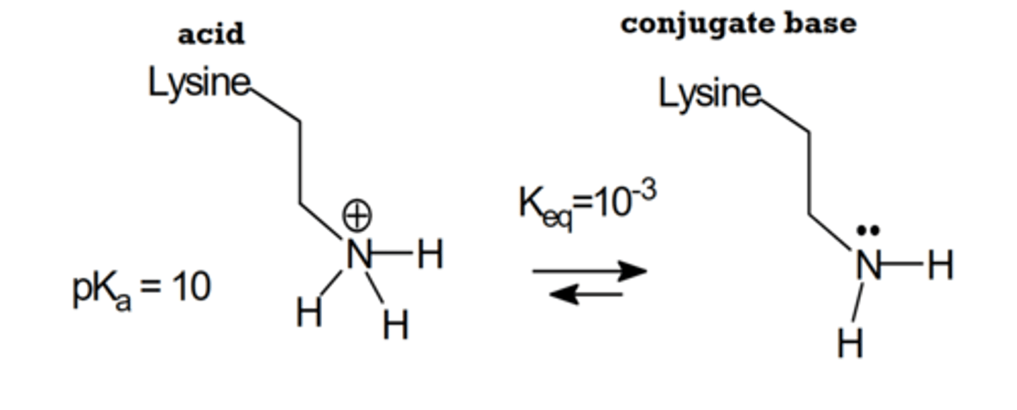 <p>Amines are neutral. carboxylic acid is conjugate base with -1 charge. total charge is -1.</p>