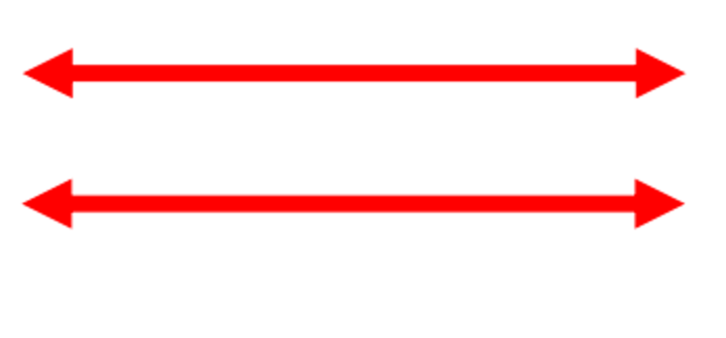 <p>lines in the same plane that never intersect</p>