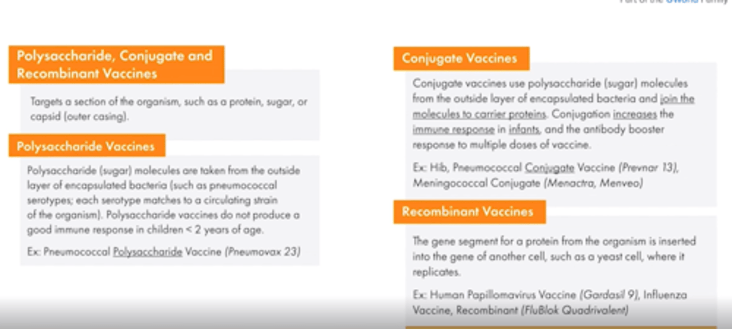 <p>Vaccine targeted against a toxin produced by a disease (i.e. diphtheria)</p>