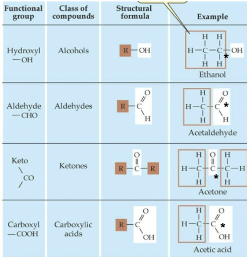 <p>which C* is most oxidized? </p>
