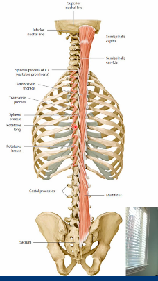 <p>observe this photo</p>