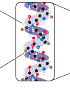 <p>what is this </p>