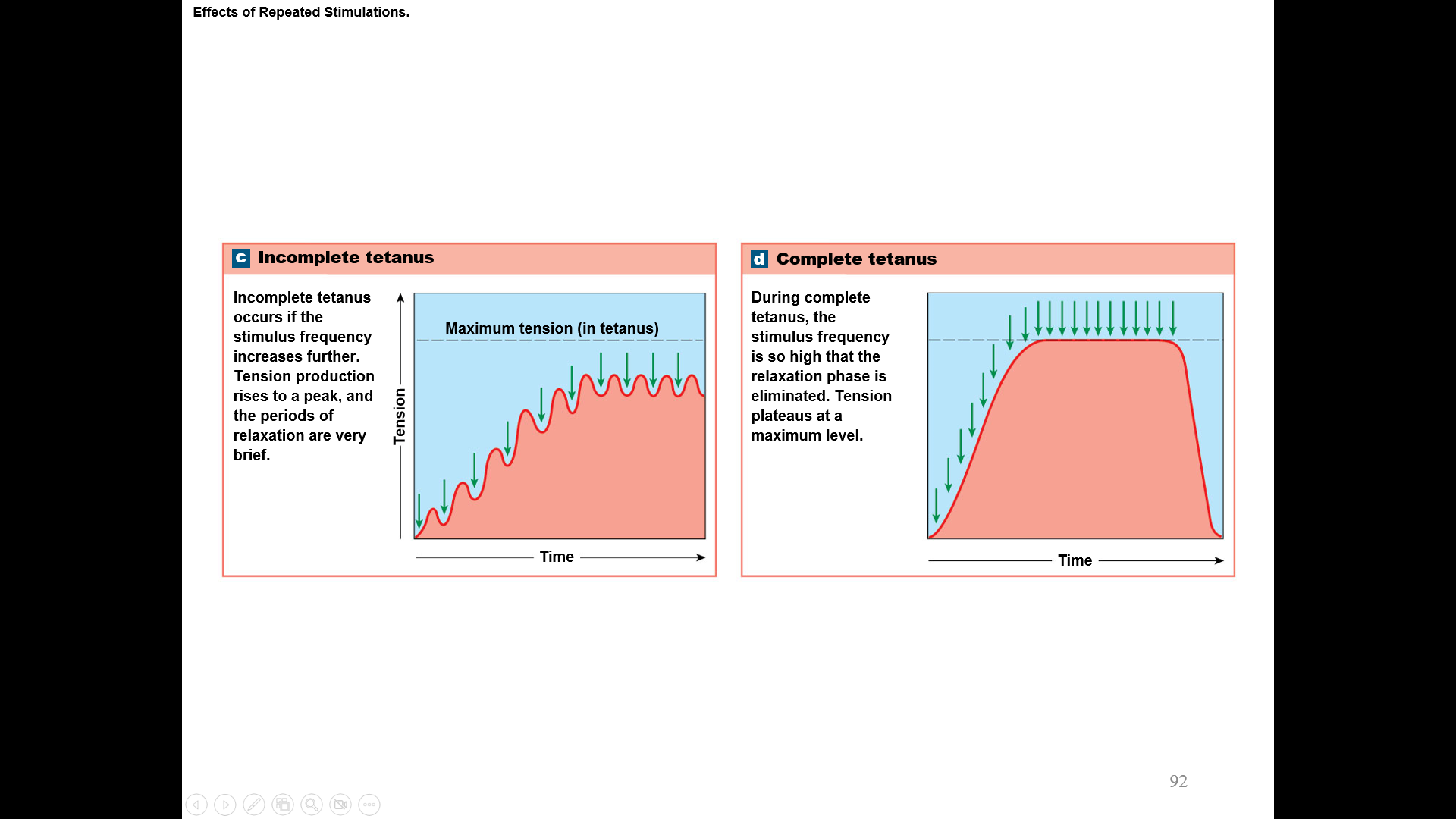 Muscle produces near-maximum tension
Caused by rapid cycles of contraction and relaxation