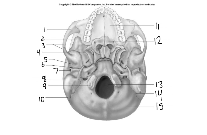 <p>10</p>