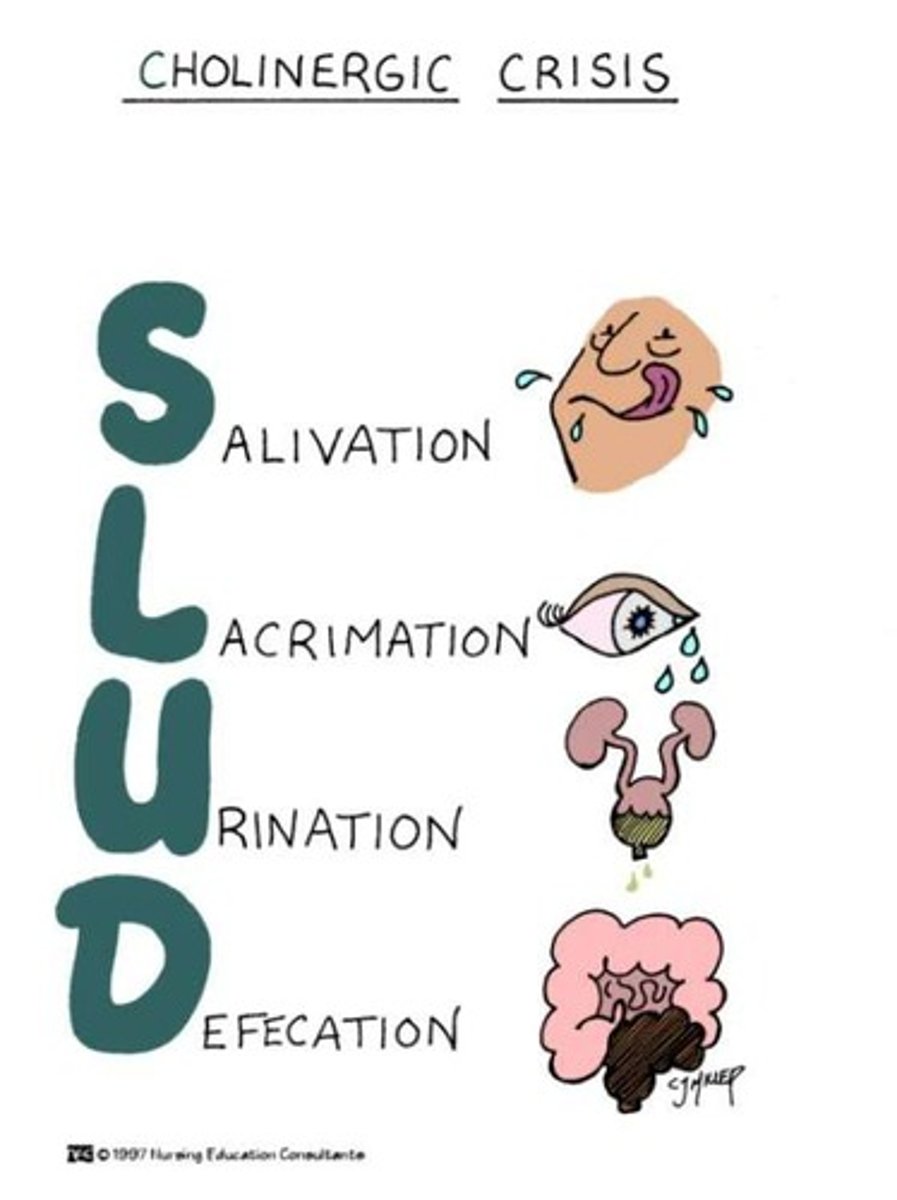 <p>A condition caused by excessive stimulation of the cholinergic system, often requiring medical intervention.</p>