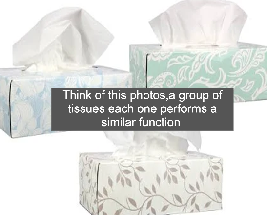 <p>Tissue</p>