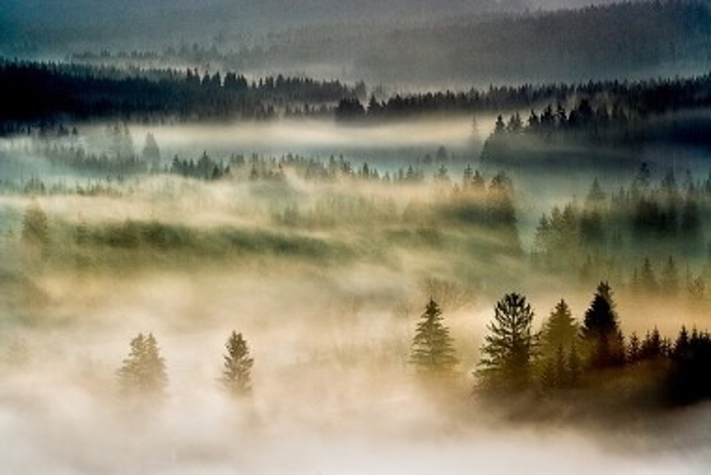 <p>туманний</p>