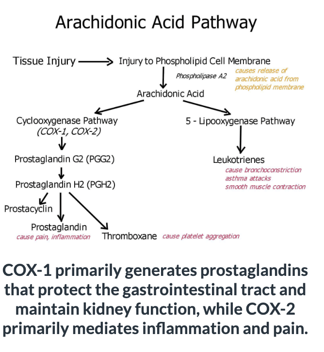 <p><strong>Analyze the Arachidonic Acid Pathway and suggest how the NSAID Ibuprofen (not aspirin) might relieve pain caused by an injury to your knee?</strong></p>