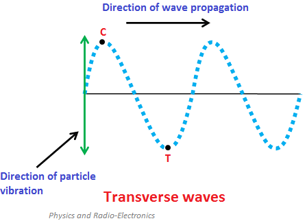 <p><span>EM waves are transverse waves consisting of oscillating electric and magnetic fields that are perpendicular to each other and to the direction of propagation.</span></p><p>Transverse waves (oscillate perpendicular to the energy transfer)</p><p></p>