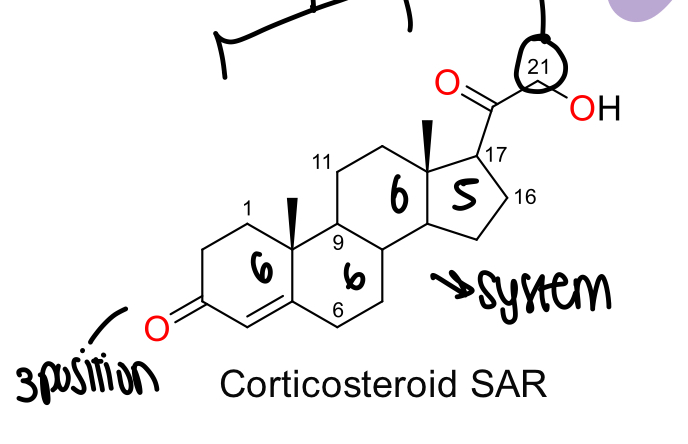 <p>4 ring system of 6, 6, 6 and 5, carbon 21 has oxidation in the side chain, oxygen in 3 position on ring 1 </p>