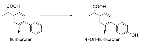 <p>Name Enzyme and Reaction</p>