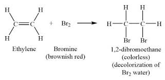 <ul><li><p>Addition reaction</p></li></ul><p>alkene + bromine —&gt; dibromoalkane</p><p>orange —&gt; colourless</p><p>removes the carbon carbon double bond</p><p>bromine = Br<sub>2</sub></p>