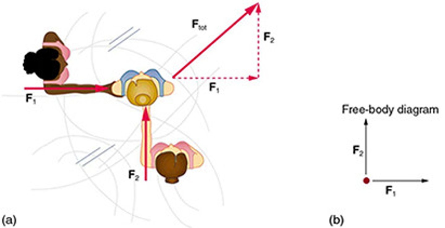 <p>A technique used to illustrate all the external forces acting on a body, represented by a single isolated point.</p>
