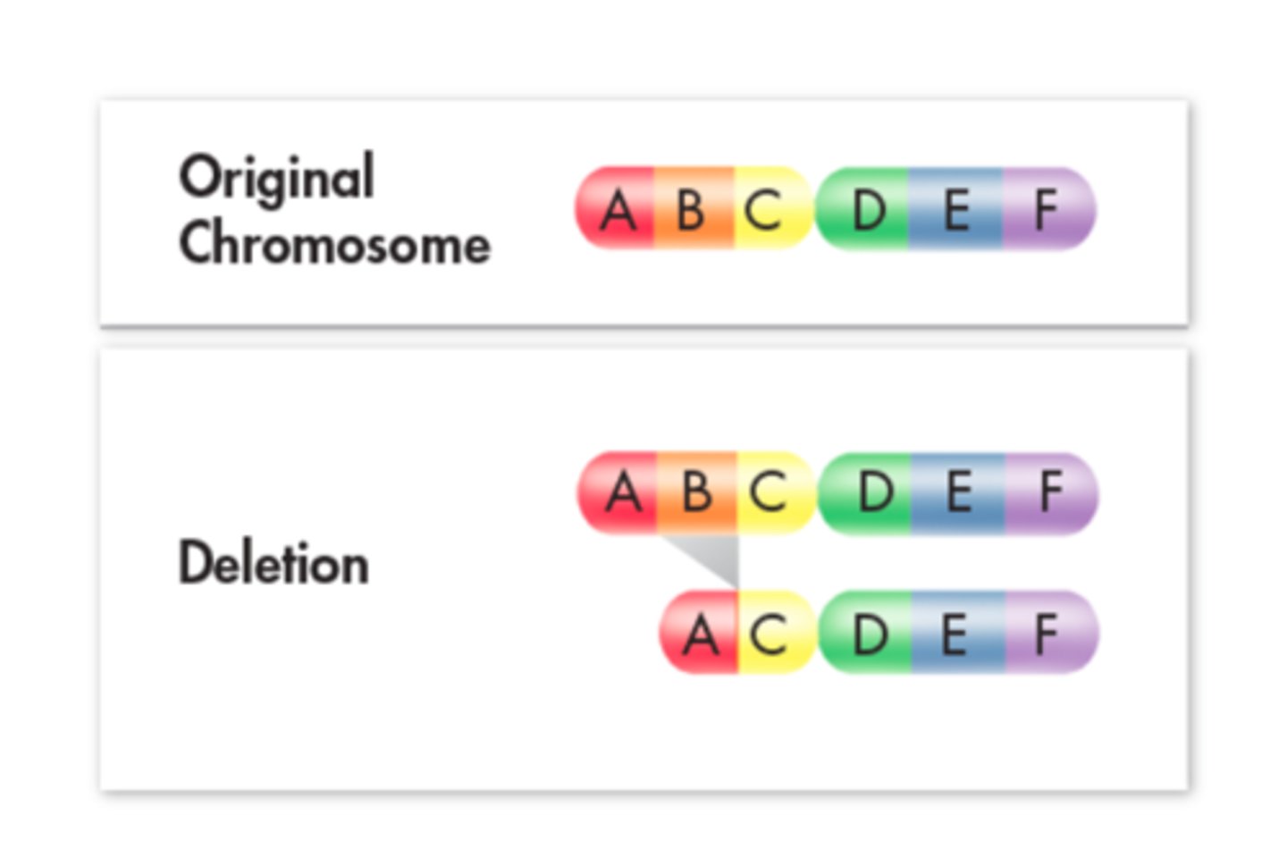 <p>Chromosomal mutation that involves the loss of all or part of a chromosome.</p>