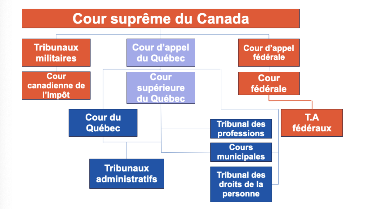 <p>Juridiction de la Cours supérieur du QC</p>