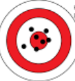 <p>This target is….</p><p>A. Accurate and precise </p><p>B. Precise</p><p>C. Accurate</p><p>D. Neither</p>