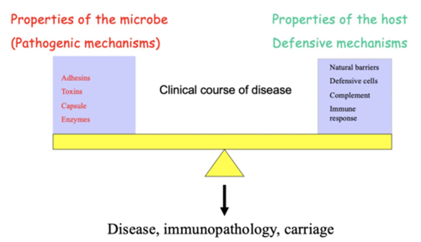 <p>a pathogen that balances virulence with transmission opportunities-- isn't too virulent, as to kill the host before being passed on, which wouldn't be favorable to the survival of the pathogen.</p>