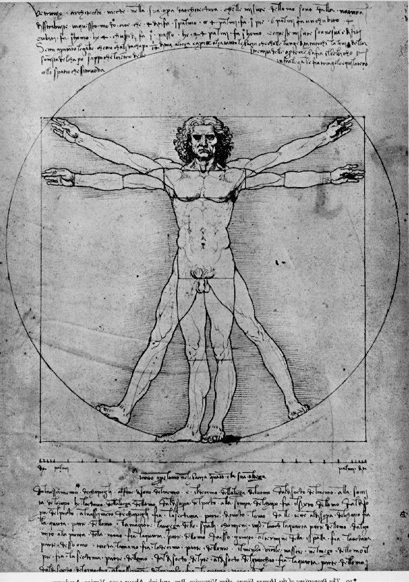 <p>Anatomy reference for many Renaissance artworks</p>