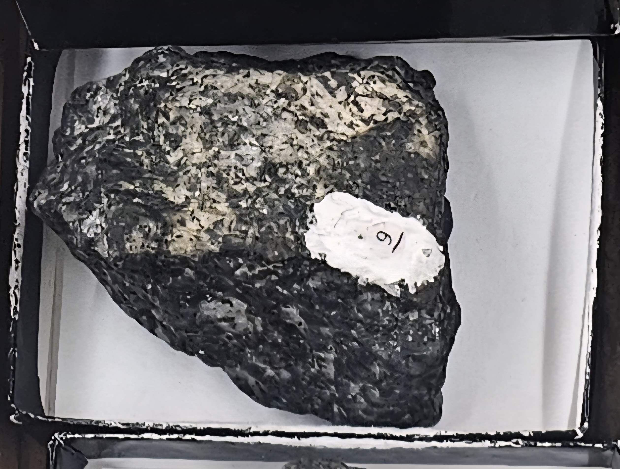 <p>Gabbro</p>