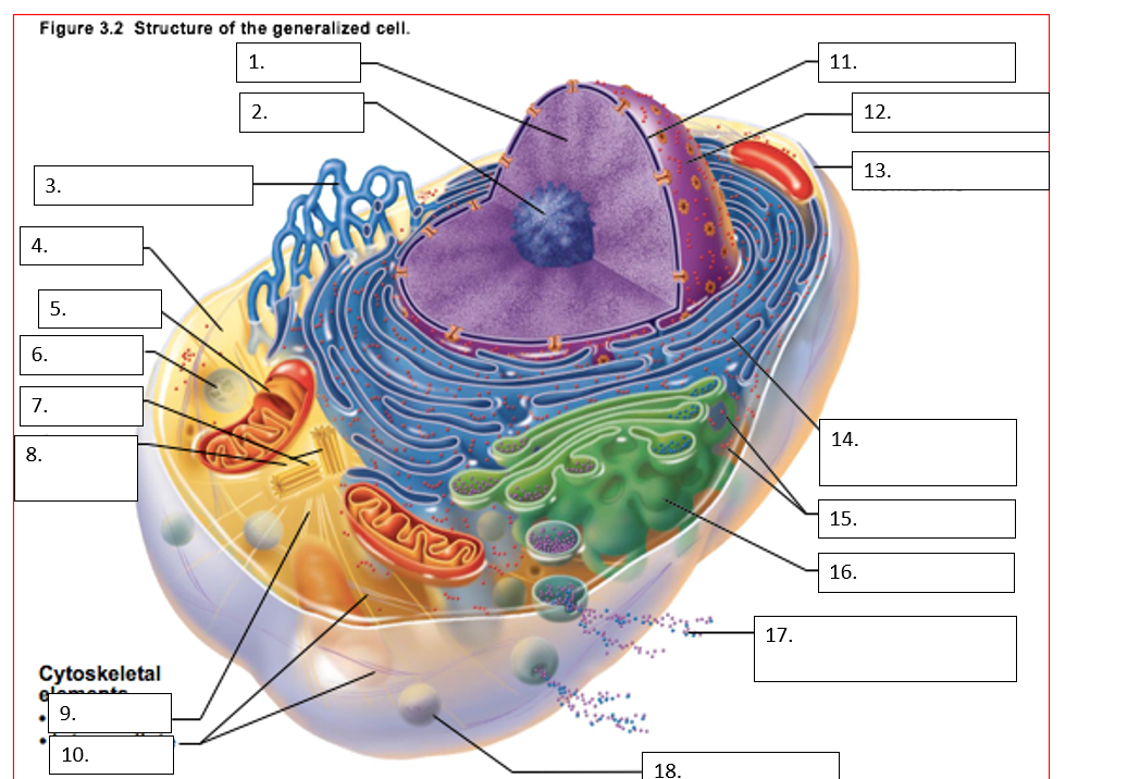 <p>18</p>