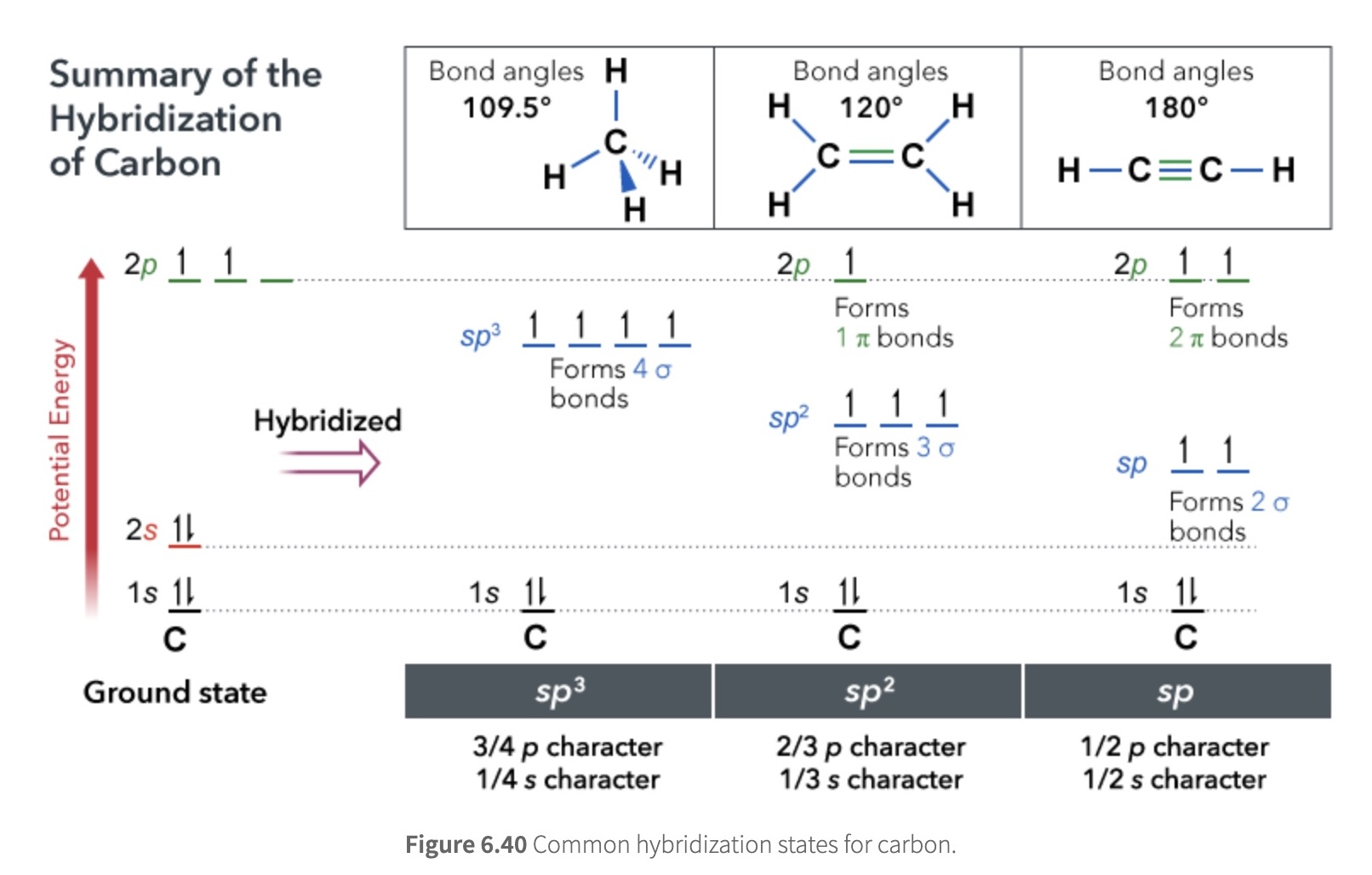 <ul><li><p>σ bonds always involve the head-on overlap of hybrid orbitals (except with hydrogen, which uses its 1s orbital to make bonds).  </p></li><li><p>π bonds always result from side-on overlap of unhybridized orbitals.</p></li><li><p>Lone pairs always reside in hybrid orbitals.​</p></li></ul><p></p>