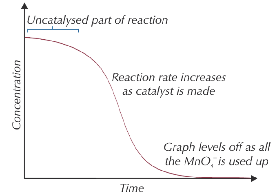 <ul><li><p>initially gradient shallow as RoR low as reaction is uncatalysed as too few Mn<sup>2+</sup>&nbsp;ions made&nbsp;<span>∴ high E<sub>a</sub></span></p></li><li><p>RoR increases w/ time as more of autocatalyst is made</p></li><li><p>graph begins to decrease as MnO<sub>4</sub><sup>-</sup>&nbsp;used up</p></li></ul><p></p>