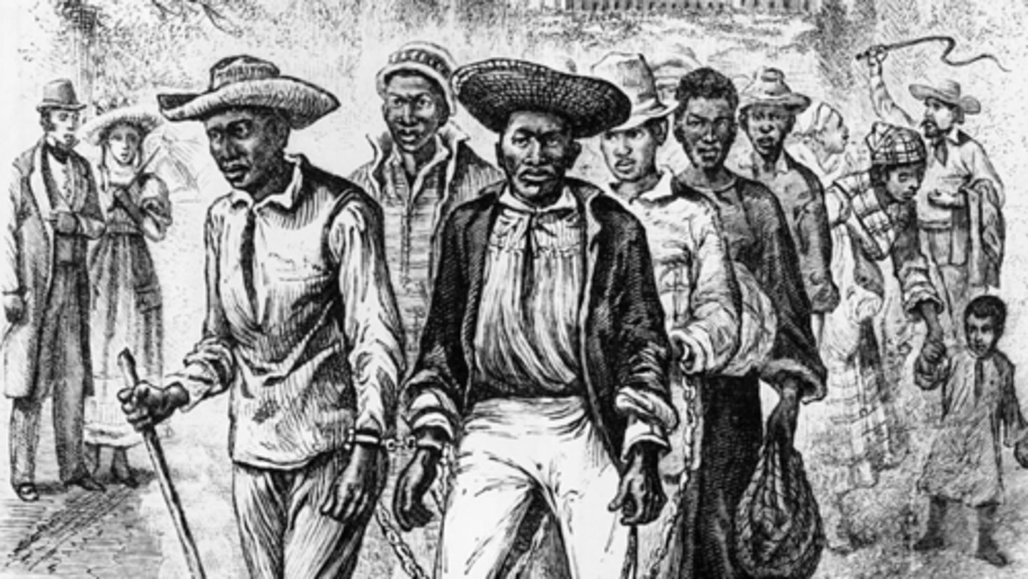 <p>Who: Enslaved Africans in South Carolina</p><p>What: Slave revolt seeking freedom in Spanish Florida</p><p>Impact: Stricter slave codes in South</p>