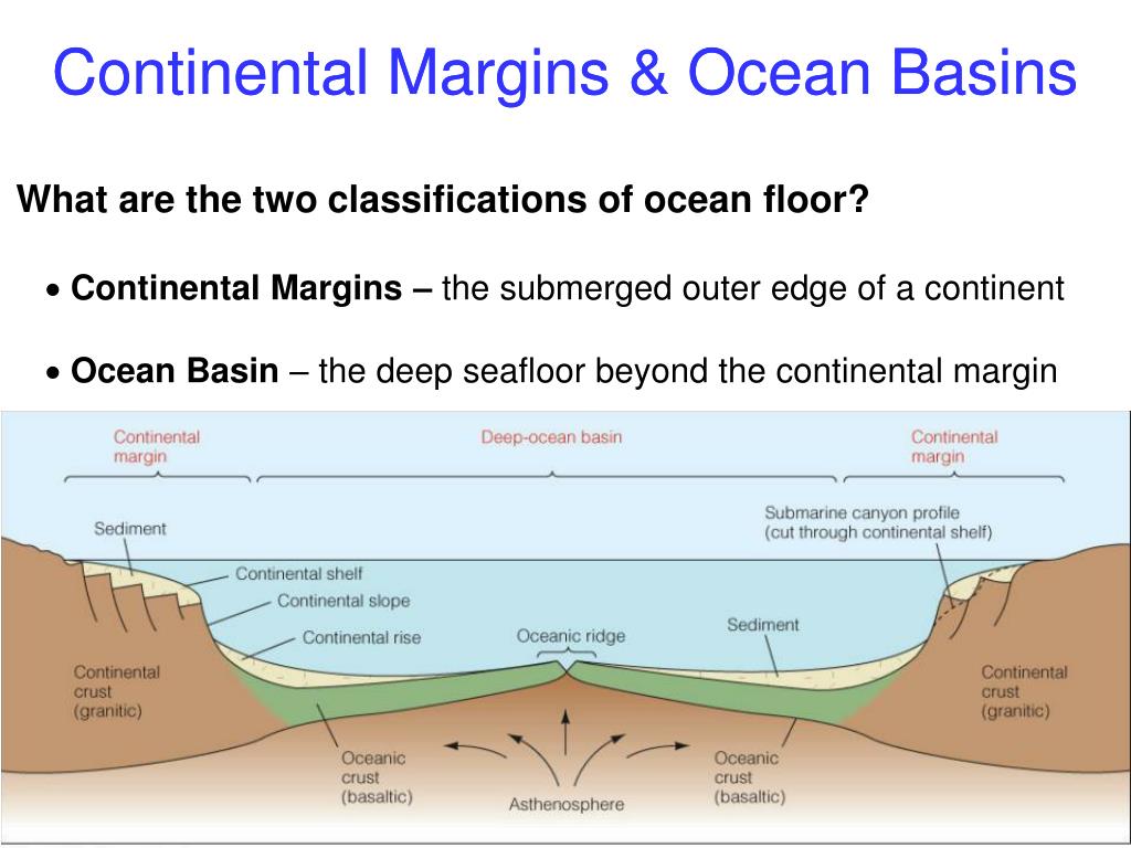 <p>Ocean Basin and Continental Margin</p>