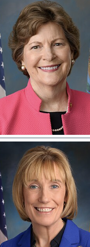 <p></p>