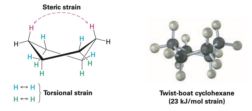 <p>conformation of cyclohexane that is somewhat more stable than a pure boat conformation</p><ul><li><p>nearly free of angle strain</p></li></ul><p></p>