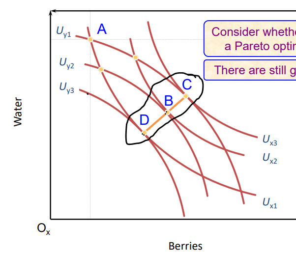 <p>Along the Core (D,B,B C) there is Pareto optimal allocations</p><p>as to get from any point across the core you need to make one worse off </p><p>e.g. for point D, to increase Ux you need to decrease Uy so from D to B Ux1 increases to Ux2 while Uy3 falls to Uy2</p>