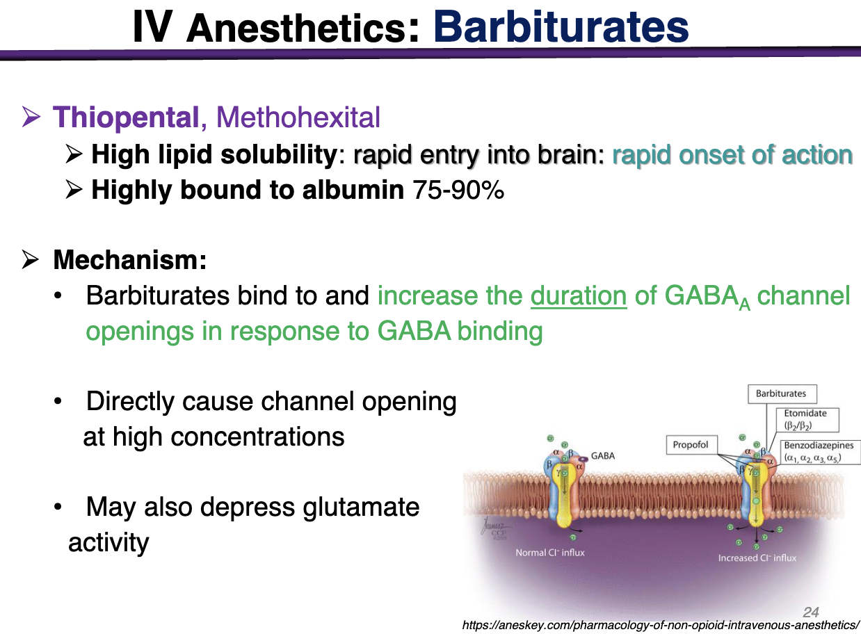 <ul><li><p>barbiturates bind and increase the <u>duration </u>of GABAa channel openings in reponse to GABA binding</p></li></ul><p></p><p>HIGH lipid solubility → low blood gas coefficient (want to leave when they get to the blood) —&gt; cross BBB </p><ul><li><p>Directly cause channel opening at high concentrations</p></li></ul><p>Barbiturates would prefer GABA to be present in the channel, BUT at a high concentration; they <em>could </em>activate the receptor on their own </p>