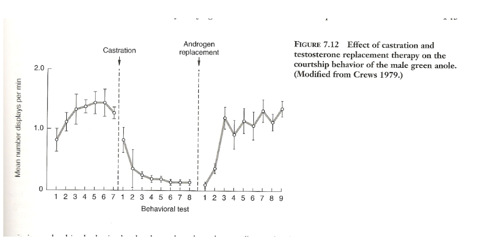 <p>castrate and view effects but surgery may cause issues… so castrate all and replace hormones (medicate) some to see if it is really the hormones </p>