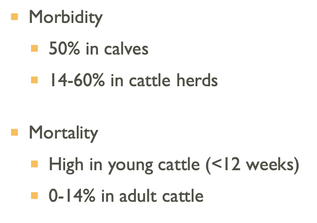 <p><strong>Salmonella Dublin</strong>, Salmonella Cerro, Salmonella Newport, Salmonella Montevideo, Salmonella Kentucky, Salmonella Typhimurium.</p>